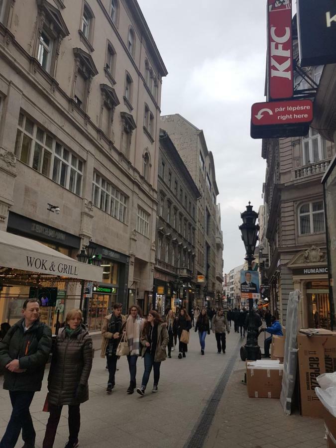 Choosy City Flat Budapeşte Dış mekan fotoğraf